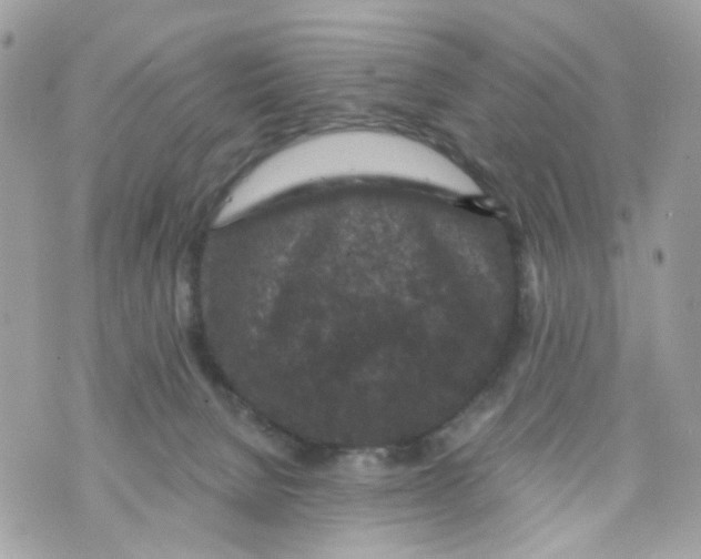 X0000069810080200606161900