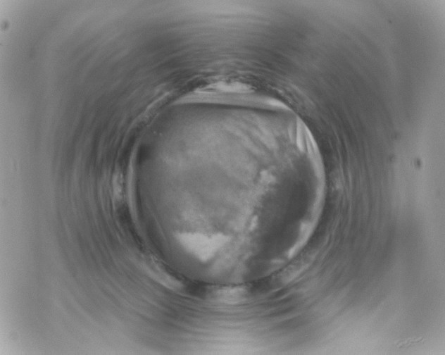 X0000069810081200606161900