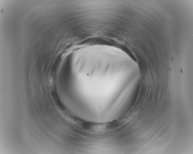 X0000069810084200606161900