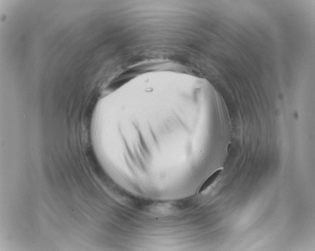 X0000069810086200606161900