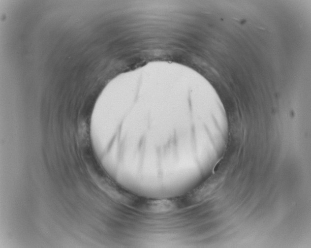 X0000069810087200606161900