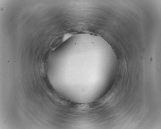 X0000069810088200606161900