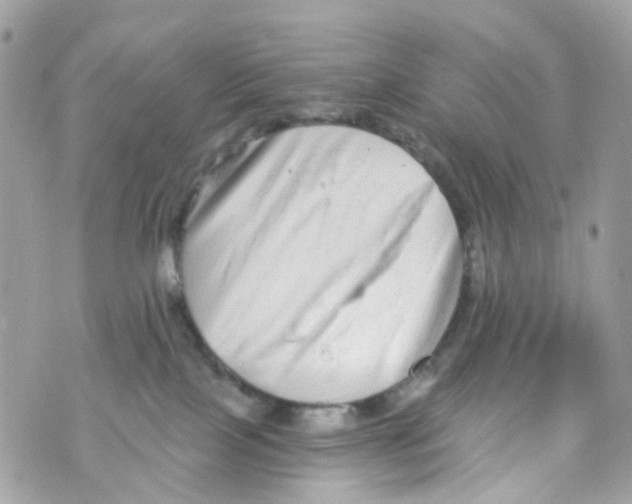 X0000069810089200606161900