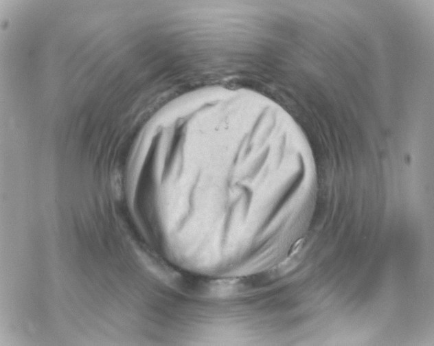 X0000069810090200606161900