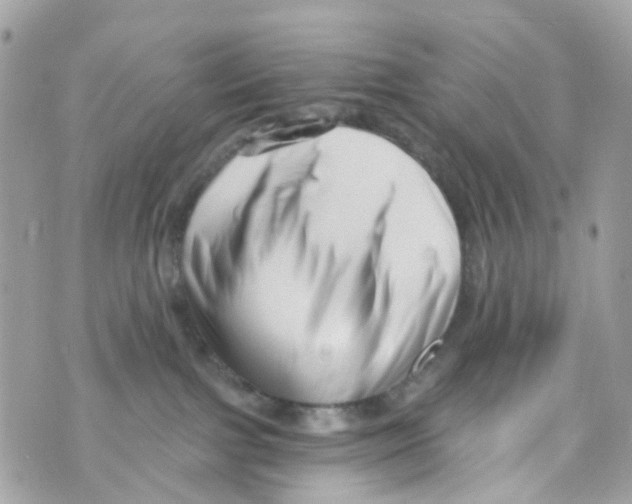 X0000069810091200606161900