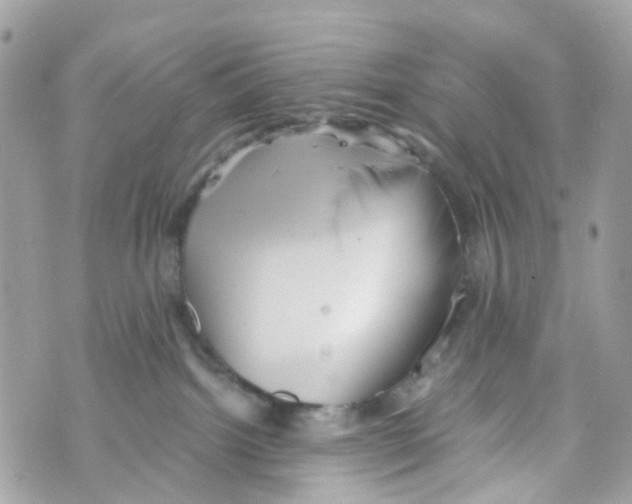 X0000069810092200606161900