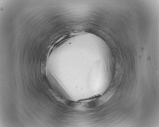 X0000069810096200606161900