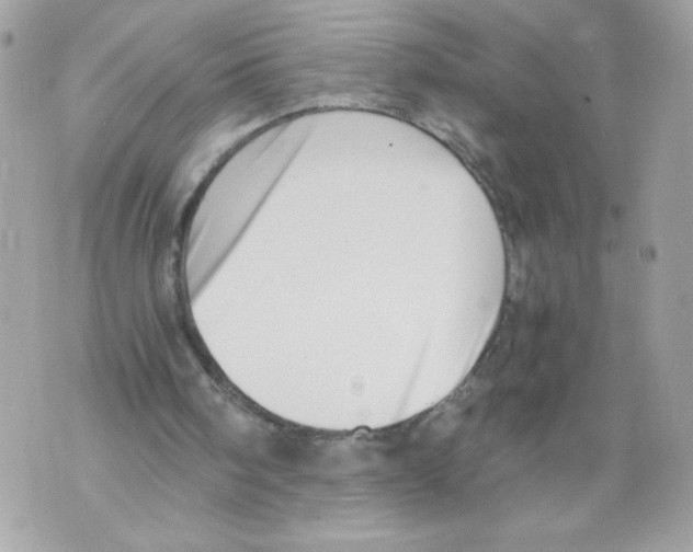 X0000069810098200606161900