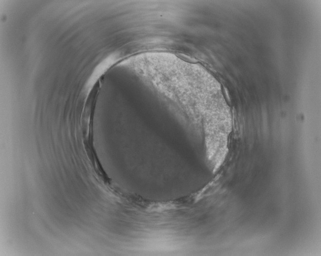 X0000069810099200606161900