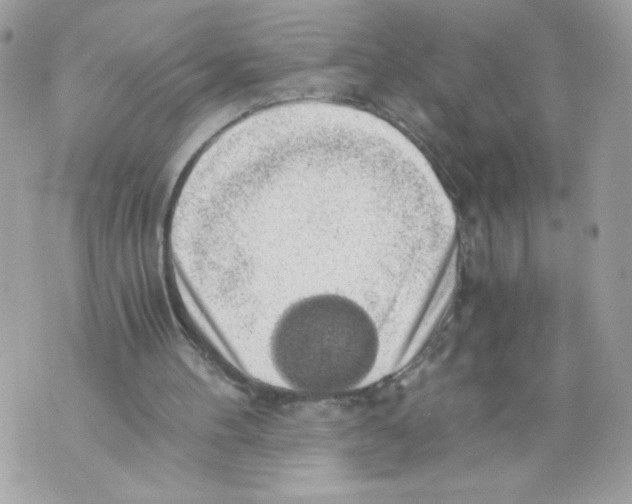 X0000069810100200606161900