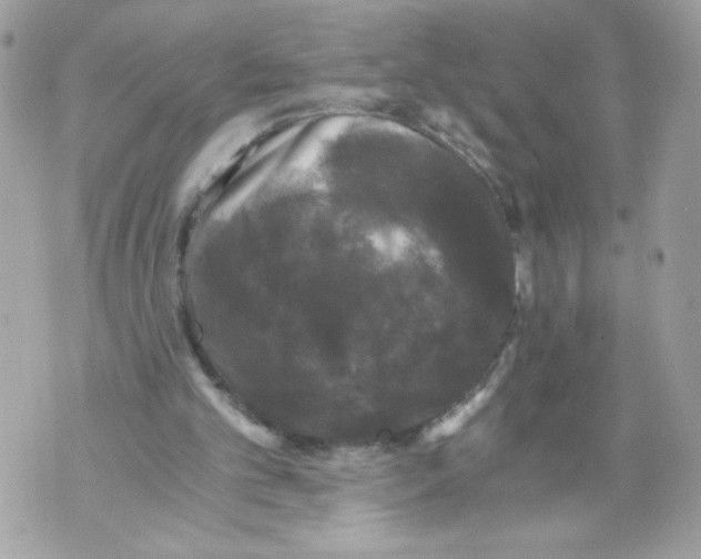 X0000069810101200606161900