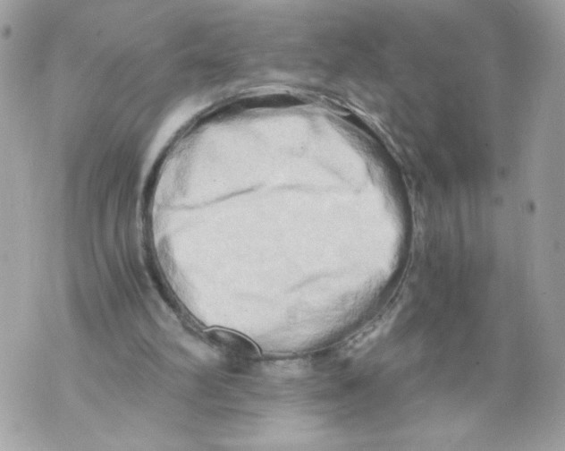 X0000069810102200606161900