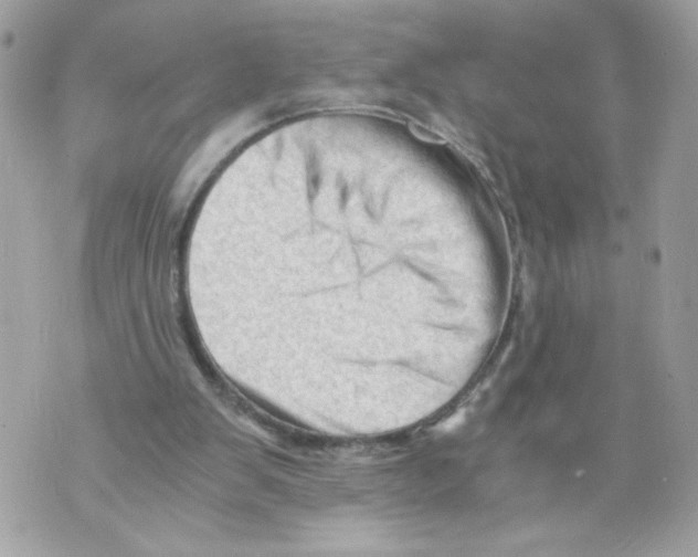 X0000069810103200606161900