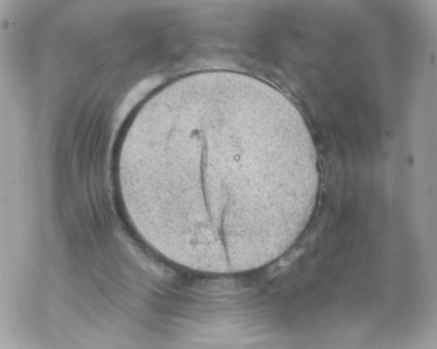 X0000069810104200606161900