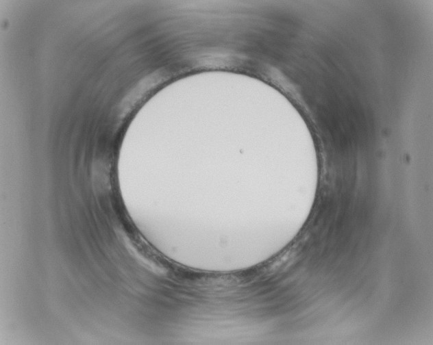 X0000069810106200606161859