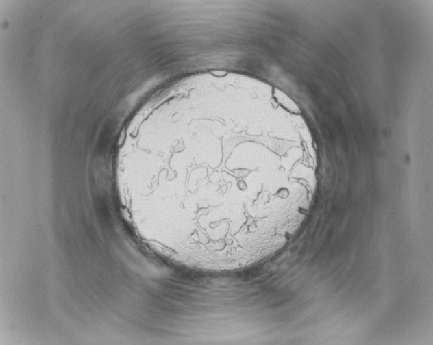 X0000069810107200606161859