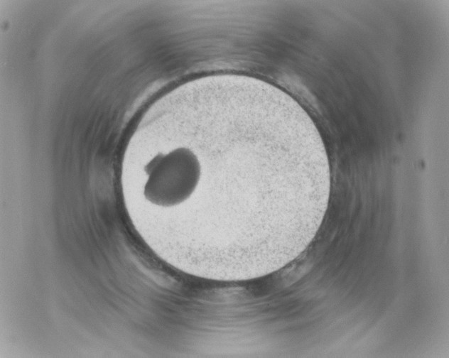 X0000069810108200606161859