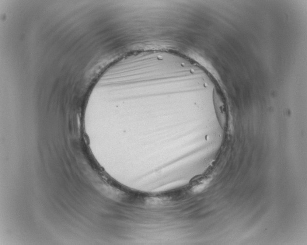 X0000069810109200606161859