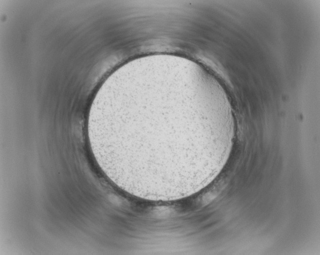 X0000069810111200606161859