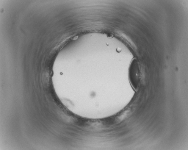 X0000069810113200606161859