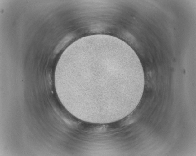 X0000069810116200606161859