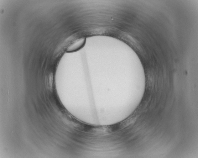 X0000069810118200606161859