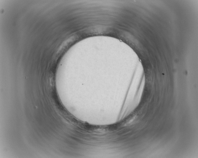 X0000069810119200606161859