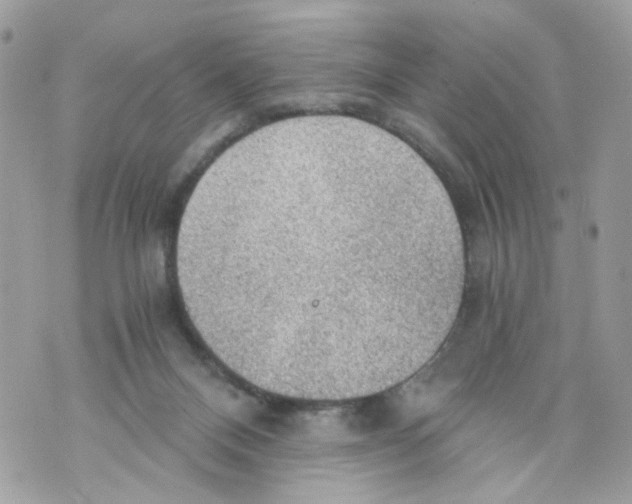 X0000069810120200606161859