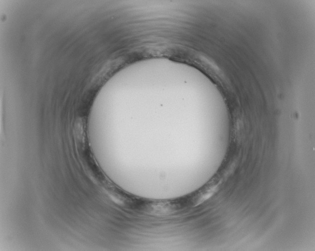 X0000069810121200606161859