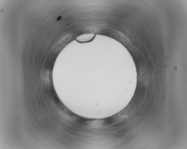 X0000069810122200606161859