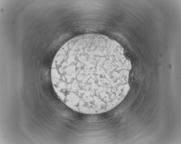 X0000069810123200606161859