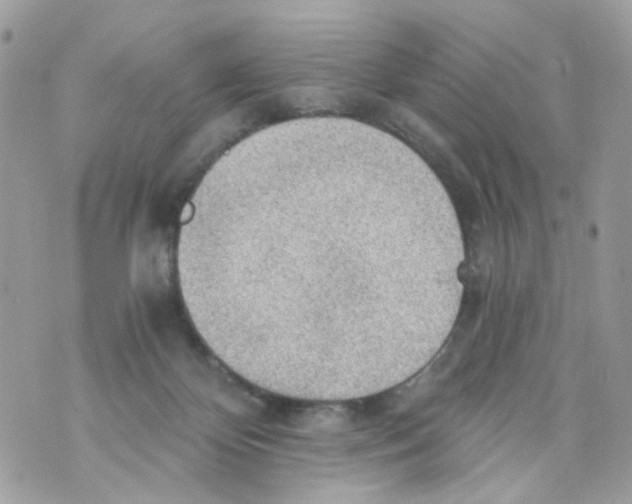 X0000069810124200606161859