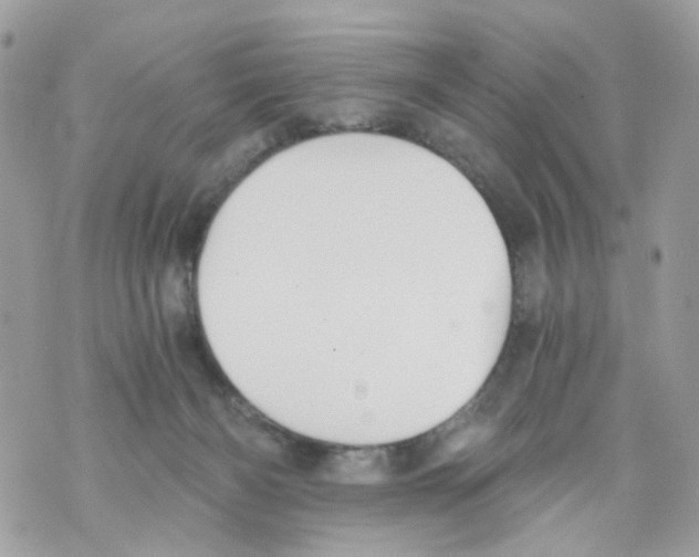 X0000069810126200606161859