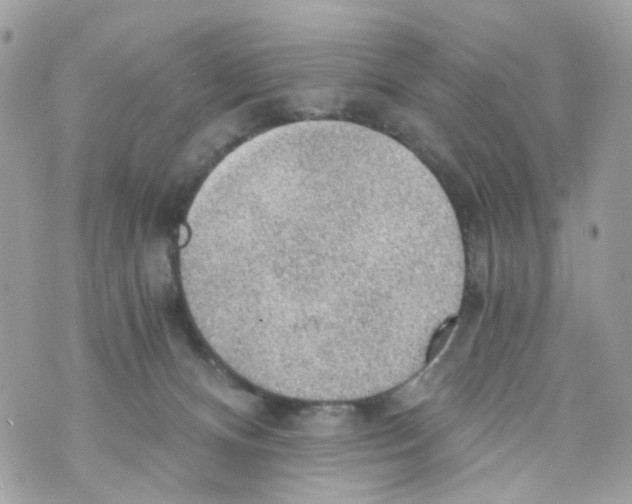 X0000069810128200606161859