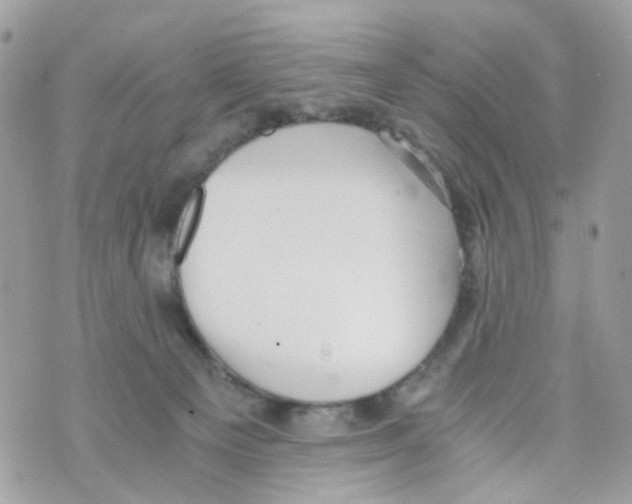 X0000069810129200606161859