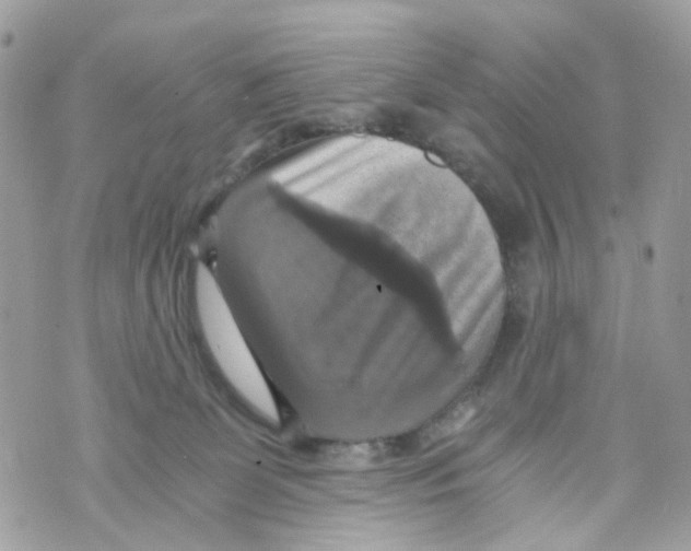 X0000069810131200606161859