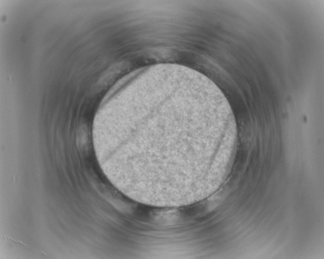 X0000069810132200606161859