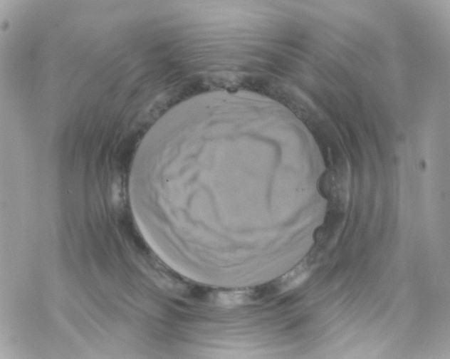 X0000069810134200606161859