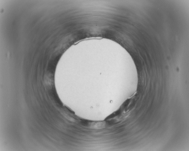 X0000069810135200606161859