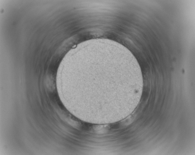 X0000069810136200606161859