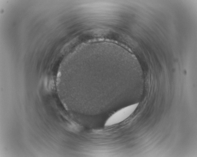 X0000069810137200606161859