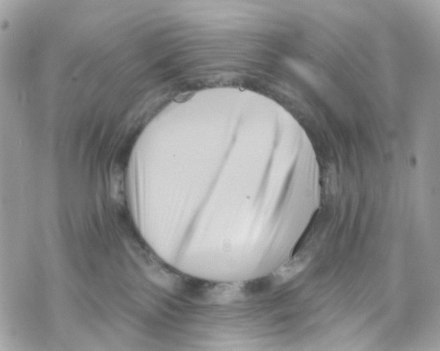 X0000069810138200606161859