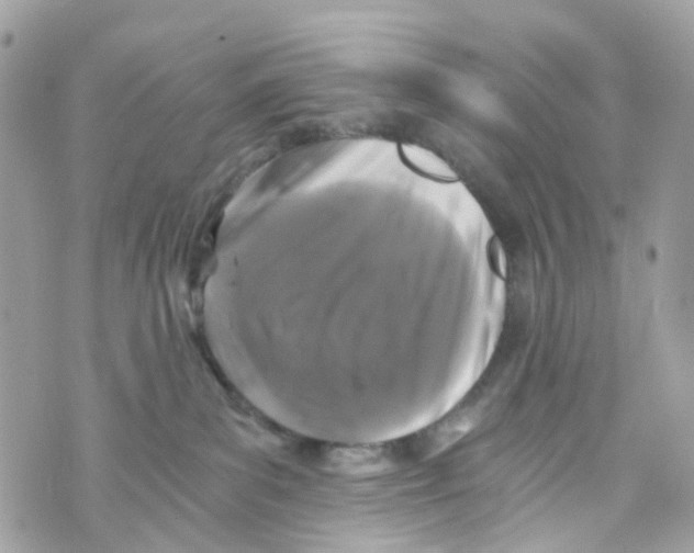 X0000069810139200606161859