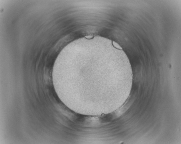 X0000069810140200606161859