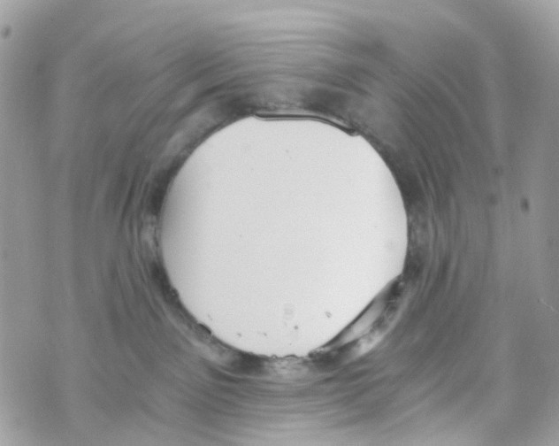 X0000069810141200606161859