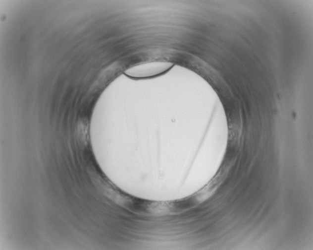 X0000069810142200606161859