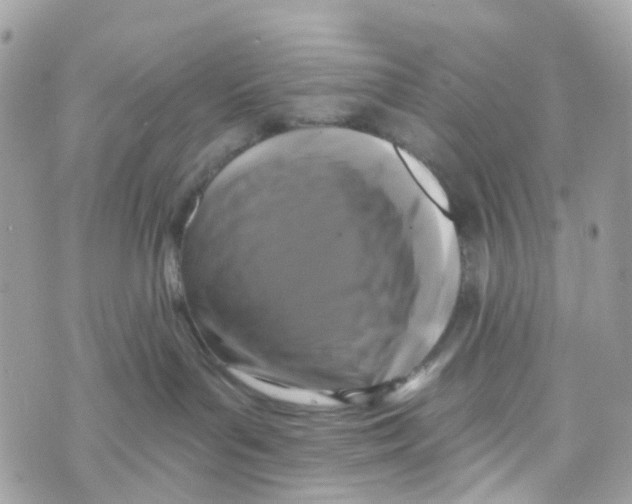 X0000069810143200606161859