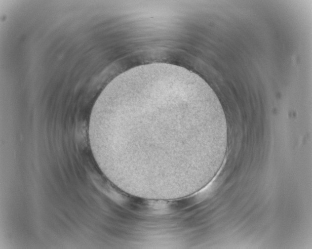 X0000069810144200606161859