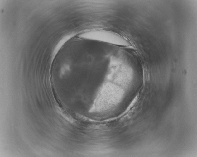 X0000069810147200606161858