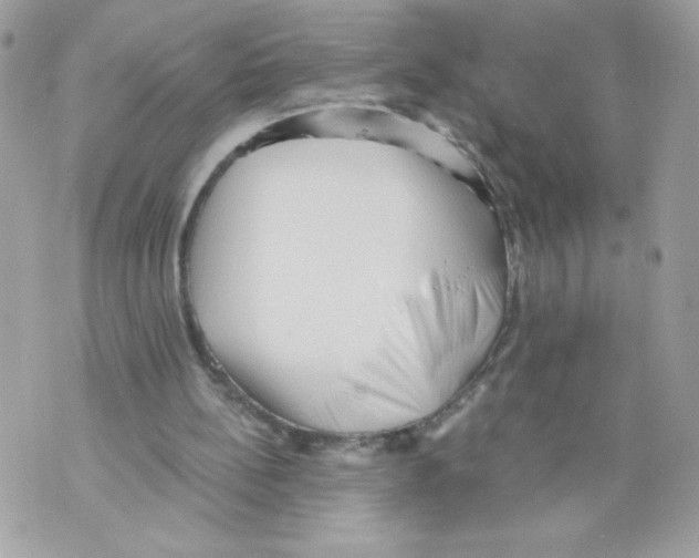 X0000069810148200606161858